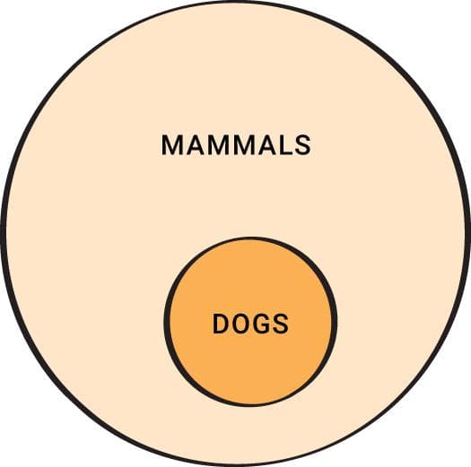 Venn Diagrams diagram